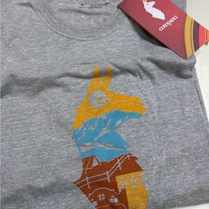 Cotopaxi Heather Gray T-Shirt